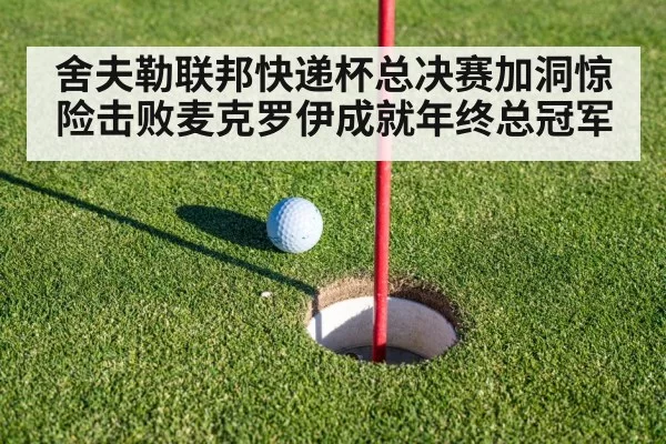 舍夫勒联邦快递杯总决赛加洞惊险击败麦克罗伊成就年终总冠军